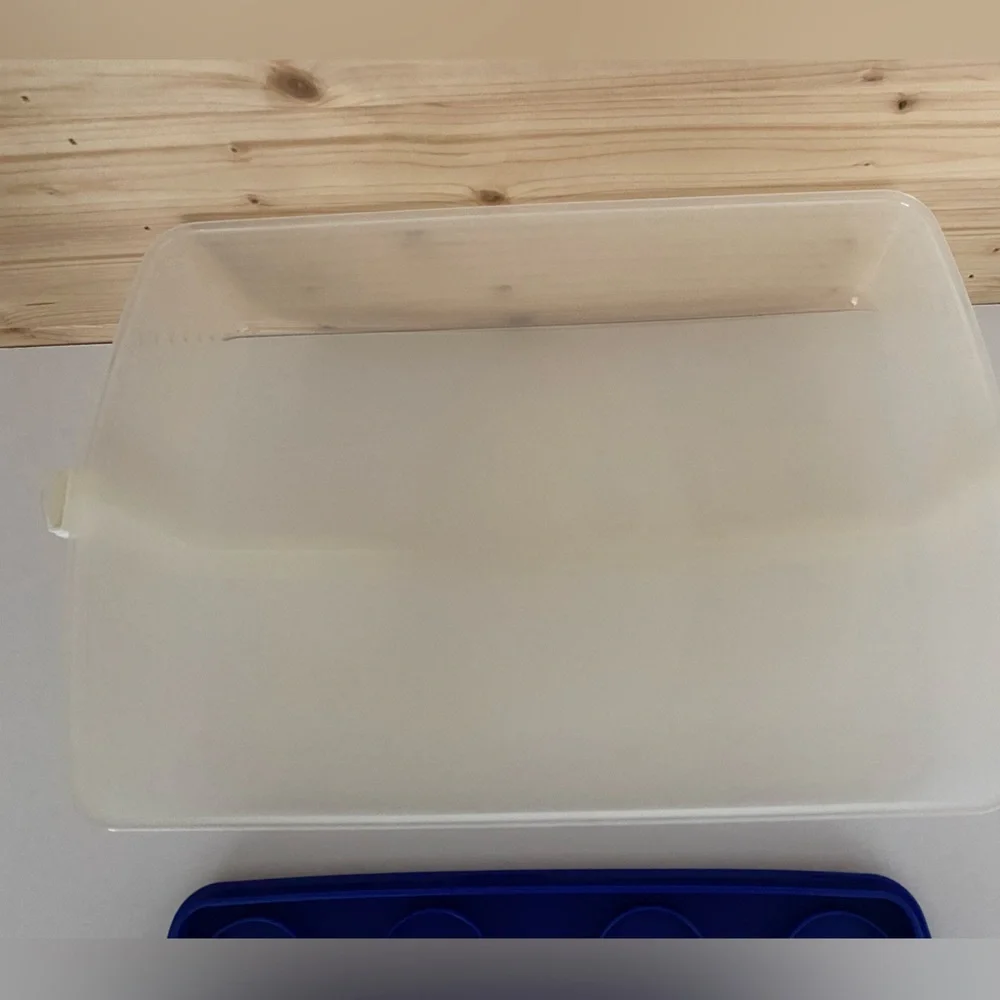 TUPPERWARE Rectangle Bake N Take Cake Cupcake Taker Carrier Blue Clear
